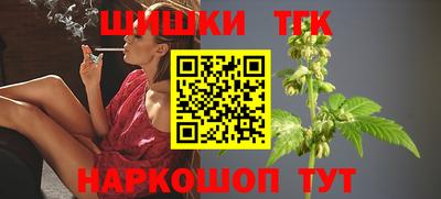 гашик Малгобек