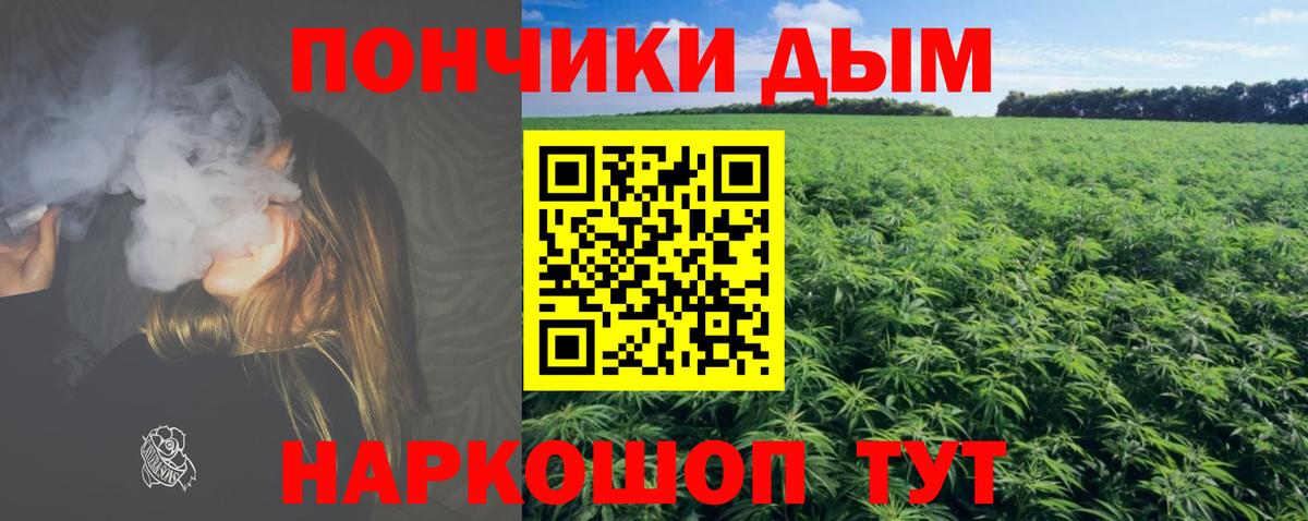 Канабис тримм  Марихуана планчик  Вход с VPN  Конопля White Widow  Вольск 